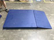 Échelle de plancher de plate-forme de Digital de 5 tonnes avec la rampe/échelles industrielles portatives de plancher