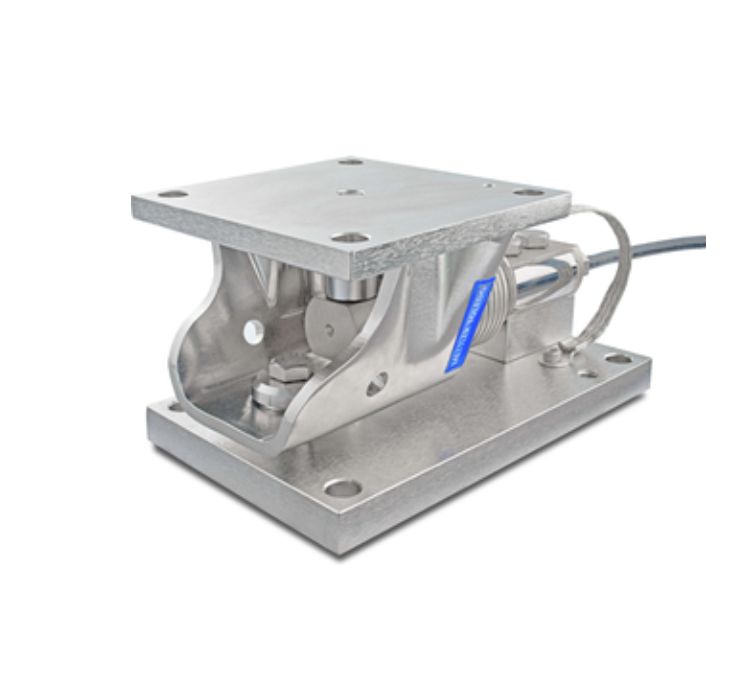 SWB505 Module de poids en acier au carbone de 300 kg